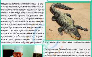 Упражнение «Крокодил» для позвоночника и его преимущества