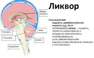 Пункция спинного мозга: важные аспекты и показания