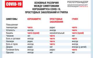 Чем различаются между собой ОРЗ и ОРВИ: основные отличия и особенности