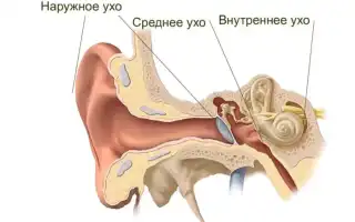 Причины воспаления внутреннего уха и методы его лечения: важные аспекты здоровья