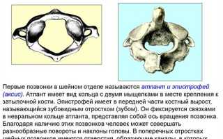 Протрузии дисков с3-c4, c4-с5, с5-c6: причины и лечение