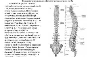 Унковертебральный артроз шейного отдела позвоночника: причины и лечение