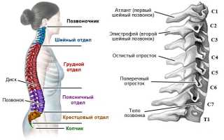 Как укрепить мышцы шеи для здоровья и гибкости