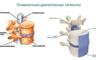 Можно ли греть межпозвоночную грыжу? Ответы и рекомендации