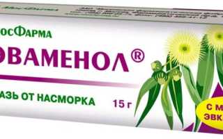 Разновидности и особенности мазей от насморка: полезные советы