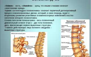 Остеохондроз 1 степени поясничного отдела: причины и лечение