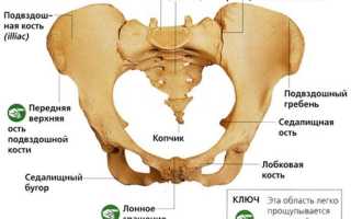 Боли в крестцовом отделе позвоночника у женщин: причины и лечение