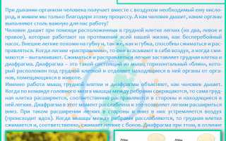 Боль в правом подреберье при вдохе: причины и лечение
