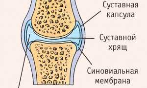 Почему хрустит позвоночник: причины и последствия
