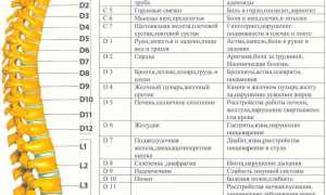 УЗИ позвоночника или МРТ — что лучше для диагностики?