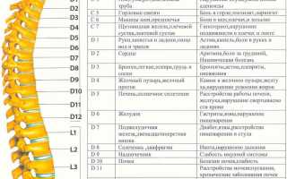 УЗИ позвоночника или МРТ — что лучше для диагностики?