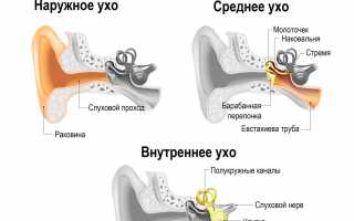 Причины отосклероза уха и методы лечения заболевания: важные аспекты и рекомендации