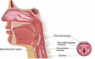 Симптомы и методы лечения при плоскоклеточном раке гортани: важные аспекты здоровья