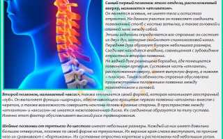 Постизометрическая релаксация мышц для шейного отдела позвоночника: эффективные методы и рекомендации