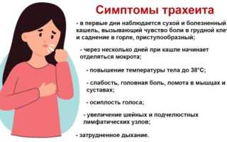 Диагностика и лечение трахеита: важные аспекты и рекомендации