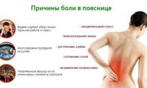 Упражнения от болей в спине и пояснице для здоровья и комфорта