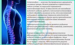 КТ позвоночника: диагностика и преимущества