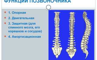 После бега болит поясница: причины и решения