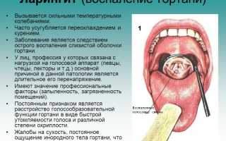 Опасности и способы лечения ларингита у взрослых и детей