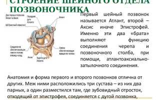 Боли в шейном отделе позвоночника — причины и лечение для здоровья