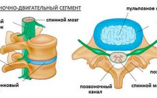 Дорсопатия грудного отдела позвоночника: причины и лечение