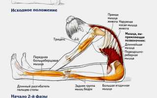 ЛФК при сколиозе 2 степени: эффективные методы и рекомендации
