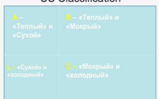 Хсн декомпенсация