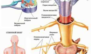 Упражнения без нагрузки на позвоночник для здоровья