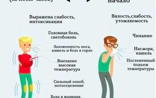 Грипп и ОРВИ – в чем разница? Узнайте важные детали