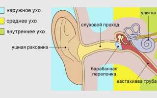 Причины, вызывающие боль в ухе при глотании, и их последствия
