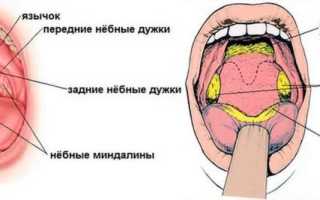 Как должно выглядеть здоровое горло для поддержания здоровья