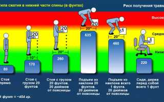 Упражнения для укрепления мышц поясничного отдела позвоночника для здоровья