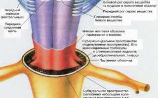 Дуральный мешок деформирован: что это такое и как с этим справиться
