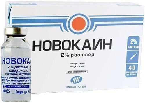 Раствор новокаина для выполнения блокады при болях в позвоночнике