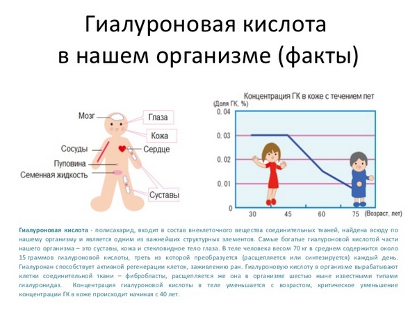 Гиалуроновая кислота необходима организму для правильной его работы