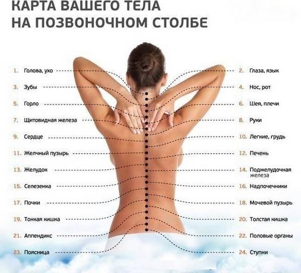 Применяют и точечный массаж, позволяющий расслабить мышцы и усилить лечебный эффект за счет того, что определенные точки на шее отвечают за работы определенных систем