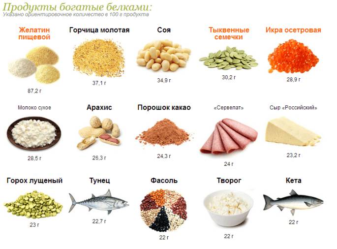 Белки в продуктах