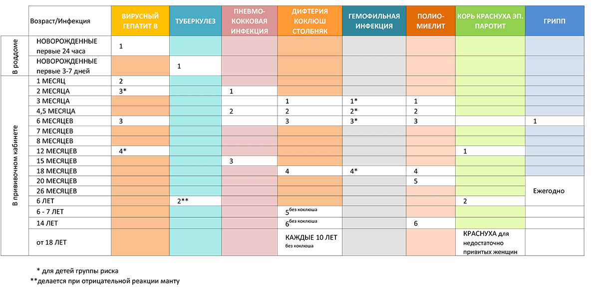 Календарь прививок