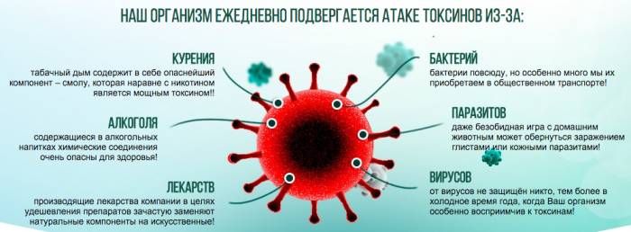 Выведение токсинов, воздействию которых человеческий организм подвергается ежедневно, способствует нормализации обменных процессов и ускоряет выздоровление
