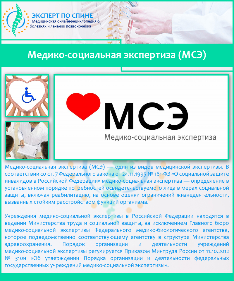 Медико-социальная экспертиза