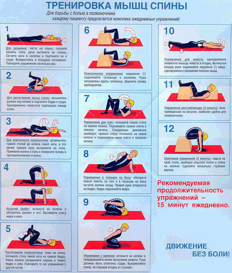 Тренировка мышц спины