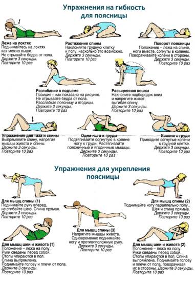 Упражнения для гибкости и укрепления поясницы
