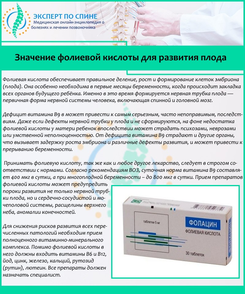 Значение фолиевой кислоты для развития плода