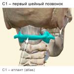 c1 (атлант)