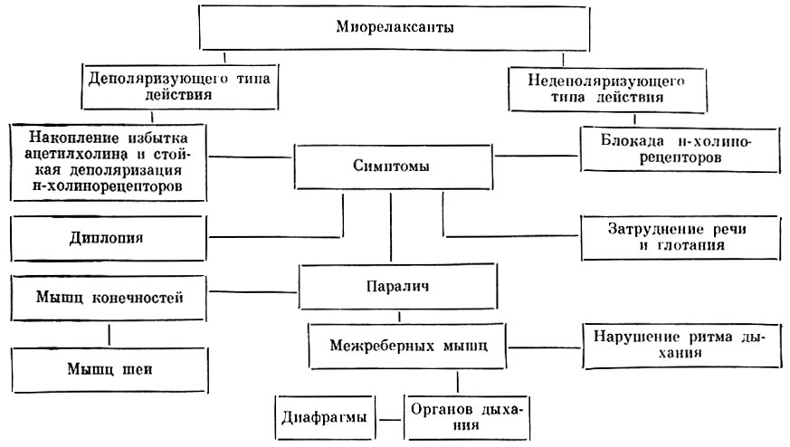Фармакологические эффекты миорелаксантов