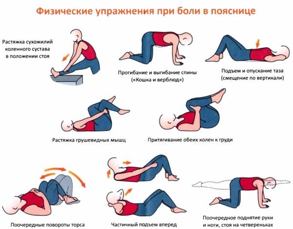 Комплекс упражнений при болях в пояснице