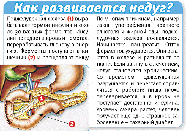 Как развивается панкреатит