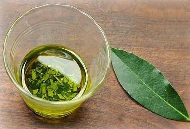 Мазь из лаврового листа