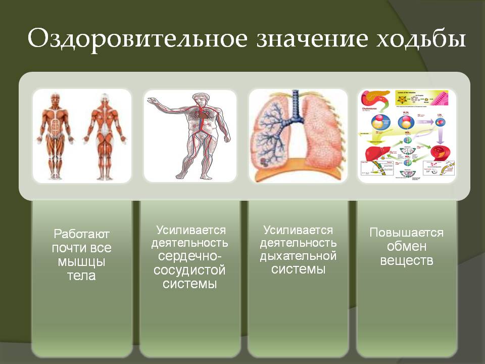 Оздоровительное значение ходьбы
