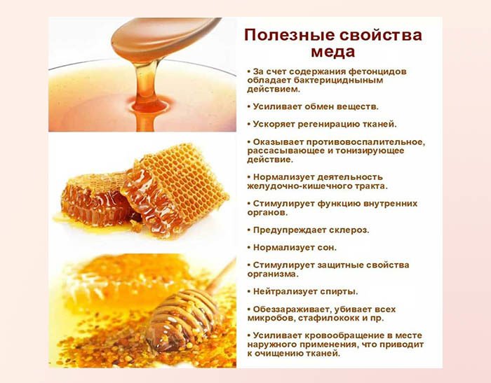 Полезные свойства меда